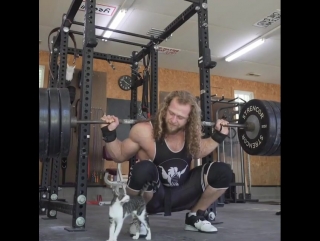 furry workout partner