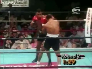 mike tyson knockouts