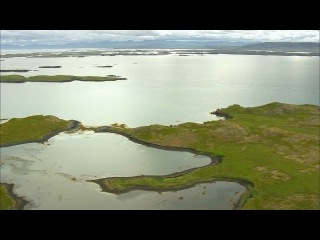 wildlife skandinavia: island.